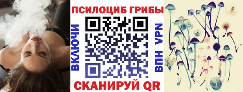 Псилоцибиновые грибы GOLDEN TEACHER  Купить где  Дагестанские Огни 